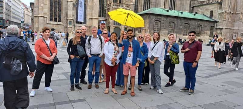 Billet Vienne : Visite guidée à pied