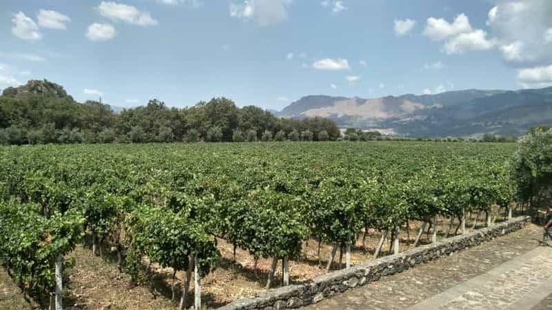 Billet Etna : Dégustation de vin et visite culinaire