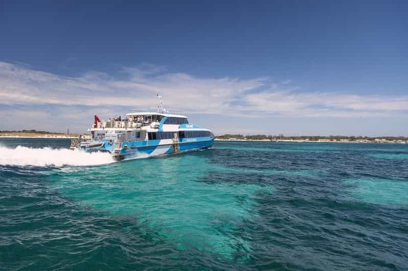 Billet Depuis Perth ou Fremantle : Visite en bus et en ferry de l'île Rottnest