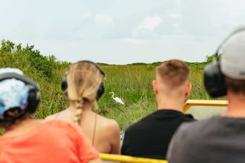 Billet Depuis Miami : Promenade en canot pneumatique dans les Everglades et marche dans la nature