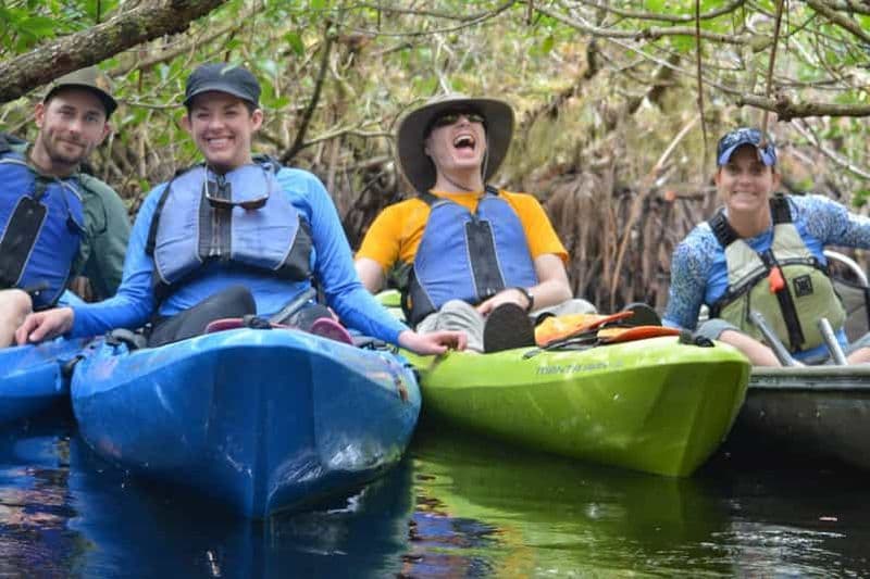 Billet Safari en kayak dans les Everglades à travers les tunnels de la mangrove