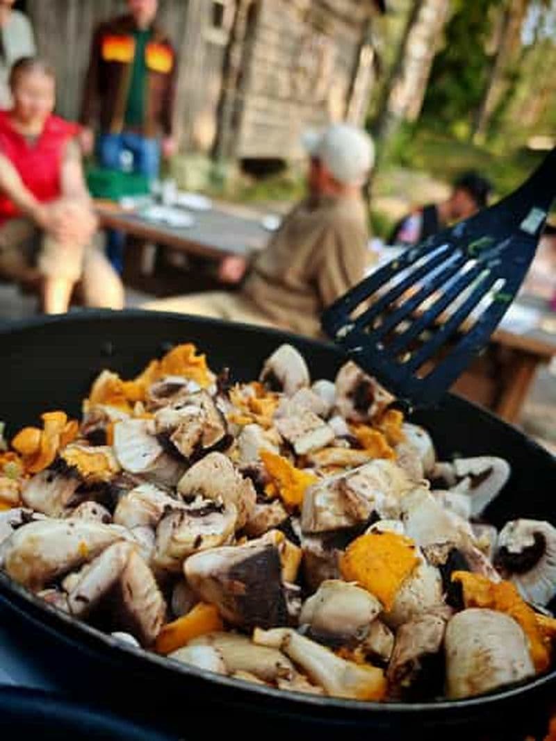 Billet Tampere : excursion de cueillette et dégustation de champignons avec repas