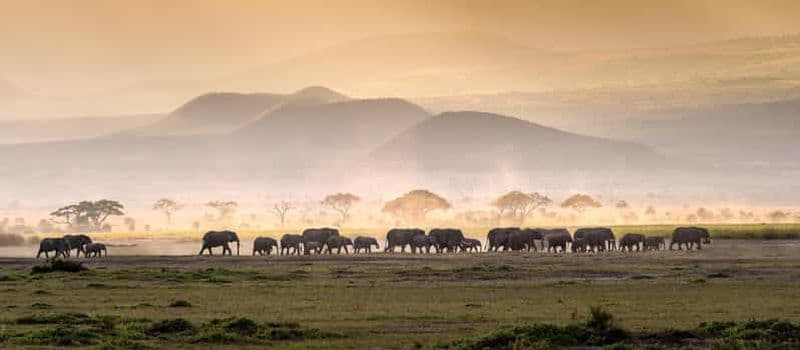 Billet 4 jours Tarangire, Serengeti, Ngorongoro Safari moyen de gamme