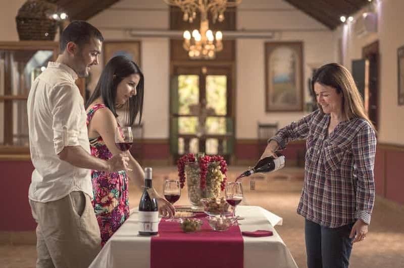 Billet Gran Canaria : Visite d'un vignoble, musée du vin et dégustation