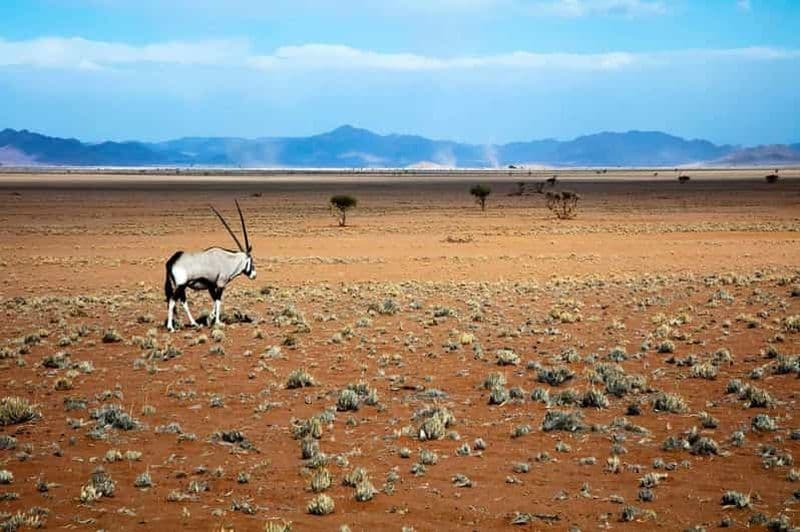 Billet Parc Namib-Naukluft : Transport et visite du parc Naukluft