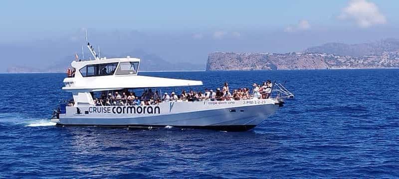 Billet Depuis Palma : Après-midi d'observation des dauphins en bateau