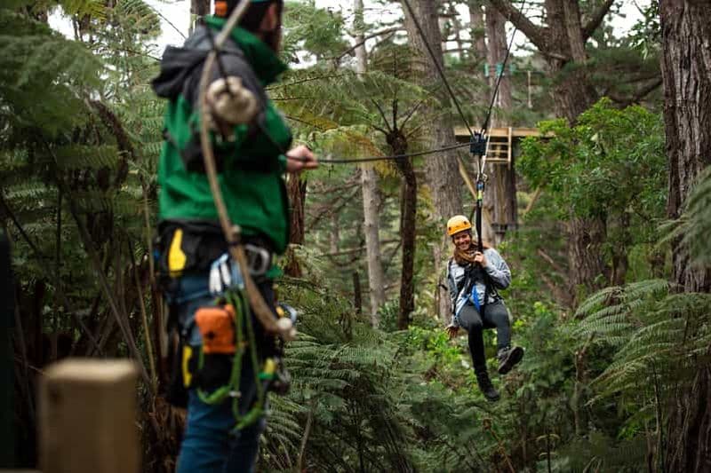 Billet Coromandel : Visite guidée en tyrolienne