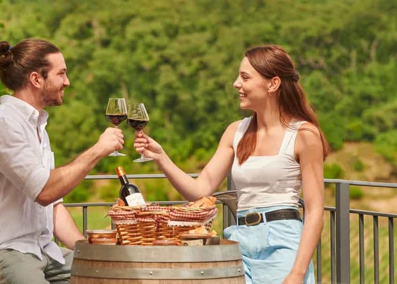 Billet Saint-Emilion : Visite guidée d'un grand cru classé et pique-nique