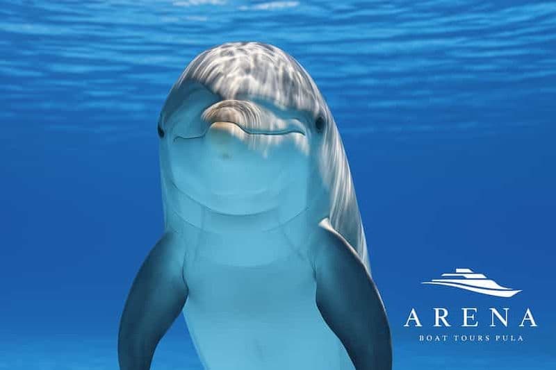 Billet Pula : croisière au coucher du soleil avec dîner et boissons