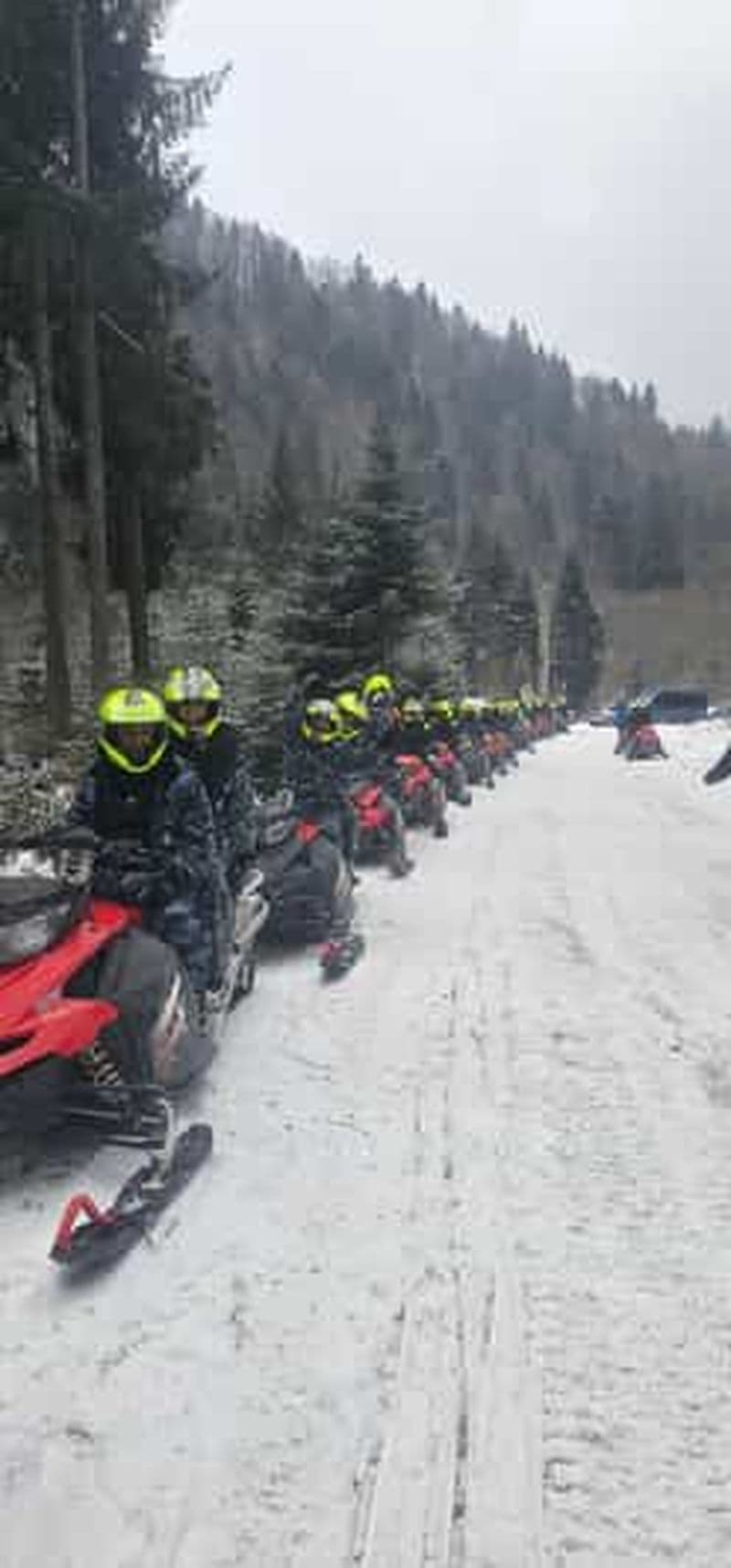 Billet Au départ de Bucarest : excursion en motoneige dans les Carpates