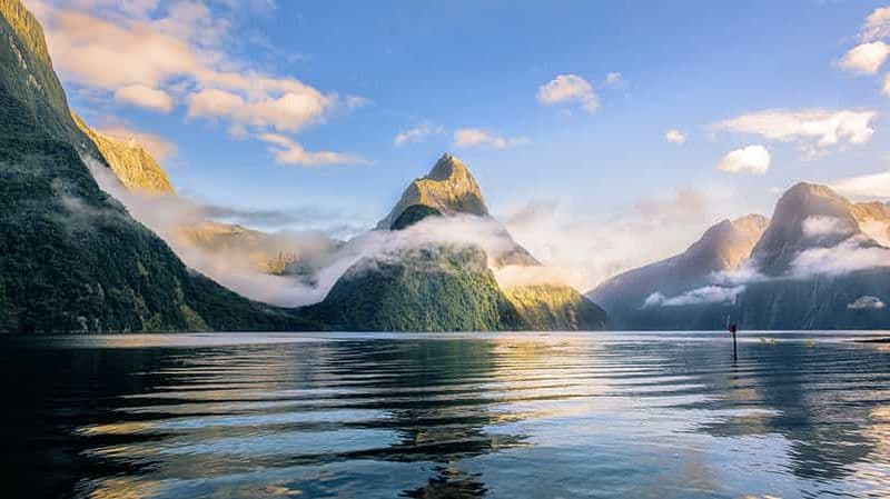 Billet Queenstown : visite en petit groupe du Milford Sound avec croisière et déjeuner