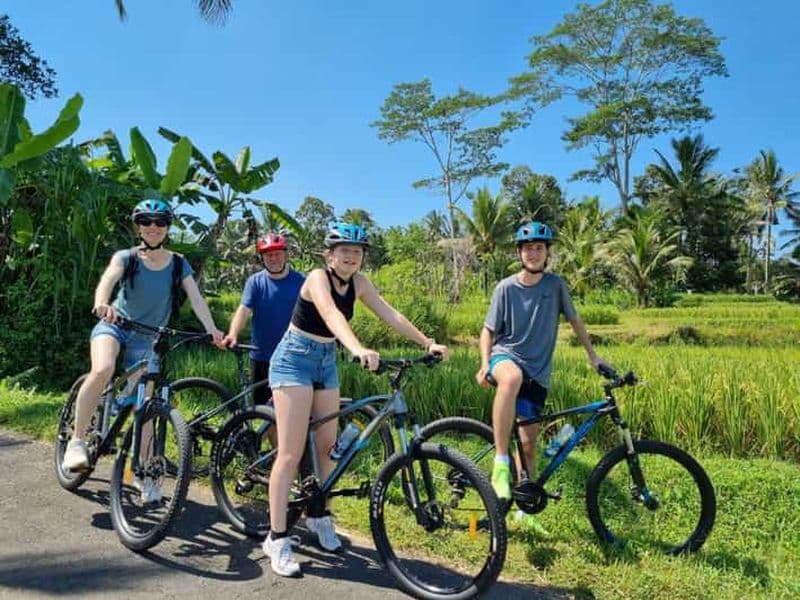 Billet Ubud : Cyclisme en descente avec volcan, rizières en terrasses et repas