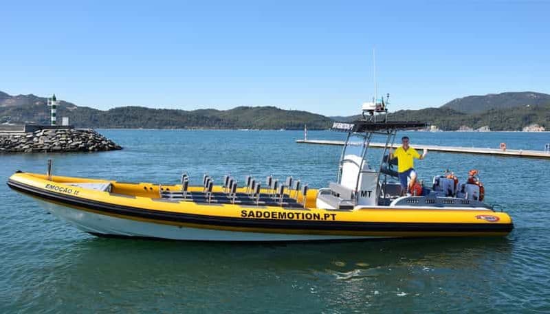 Billet Setúbal et Tróia : Observation des dauphins et baies d'Arrábida