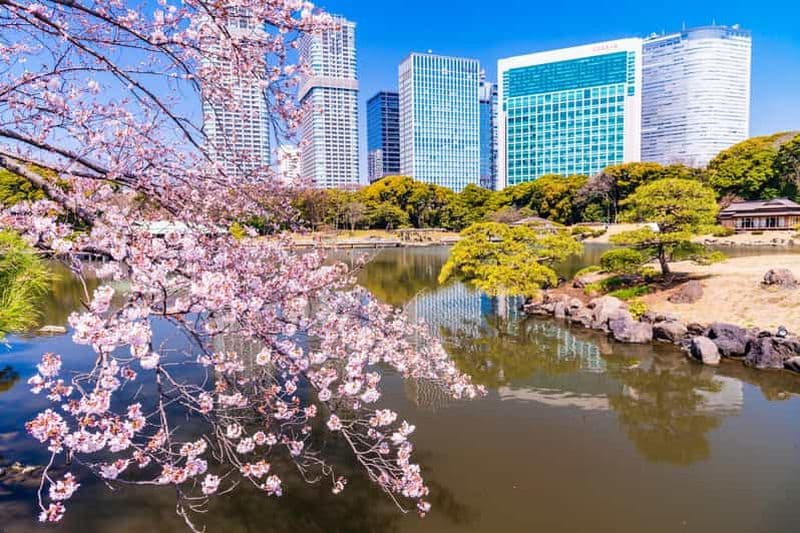 Billet Tokyo : visite des jardins de Hama-rikyu avec thé et confiseries