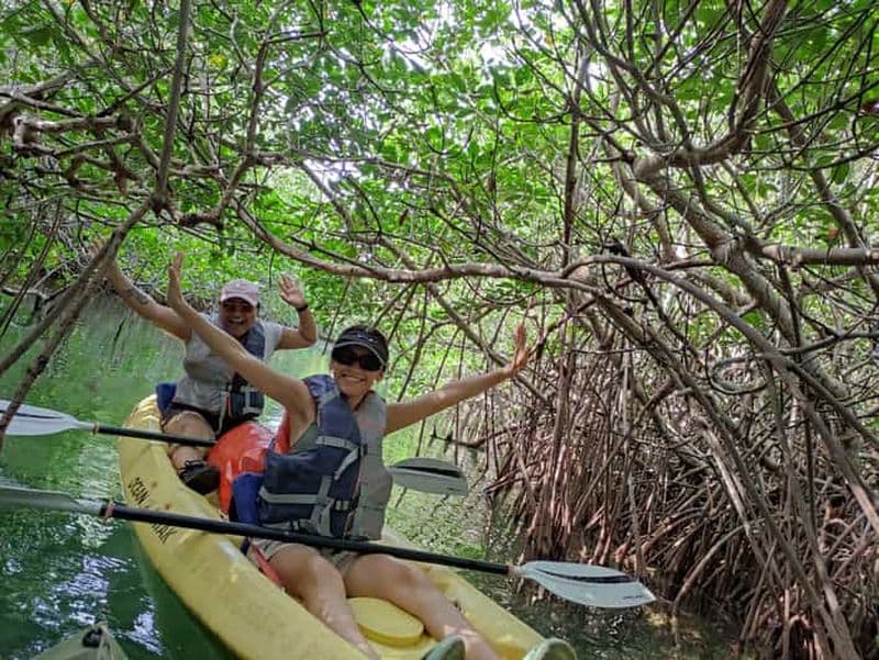 Billet Cancun : Excursion en kayak dans la lagune de Nichupte