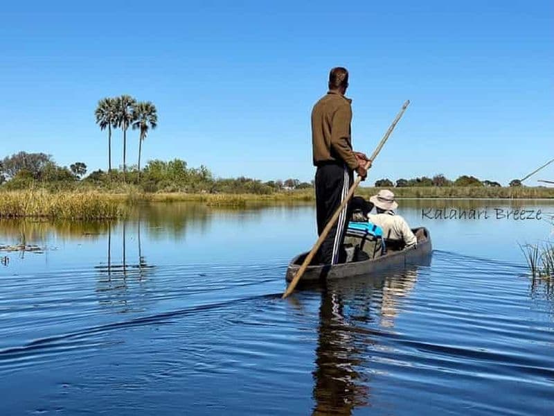 Billet Delta de l'Okavango : Visite d'une jounée en mokoro/canoë (formule tout compris)