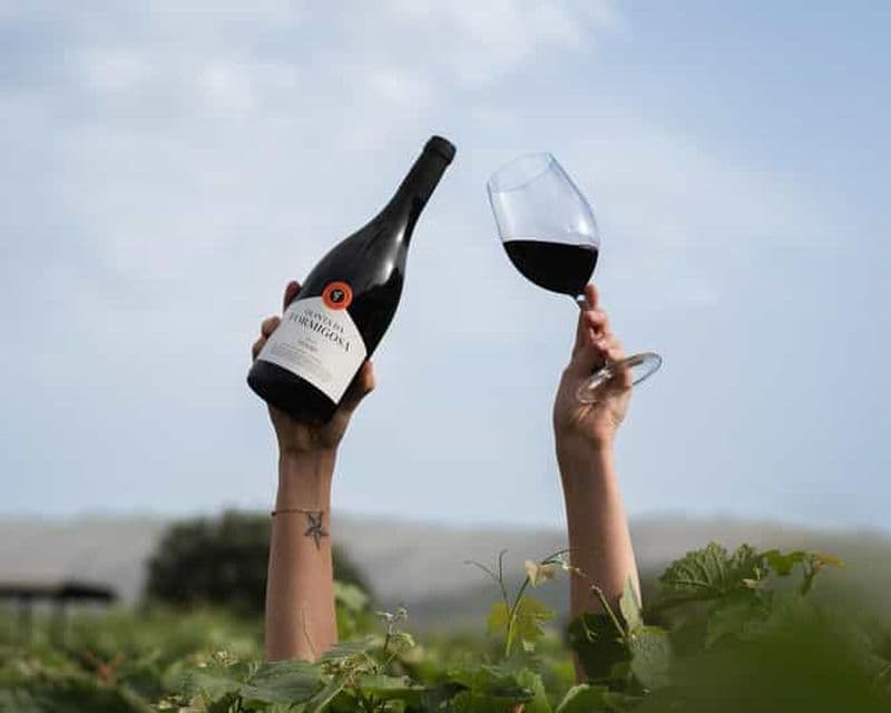 Billet Pinhão : visite du vignoble Quinta da Formigosa et dégustation de vins