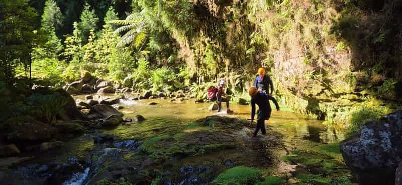 Billet Canyoning en hauteur : circuit de canyoning de niveau moyen à élevé