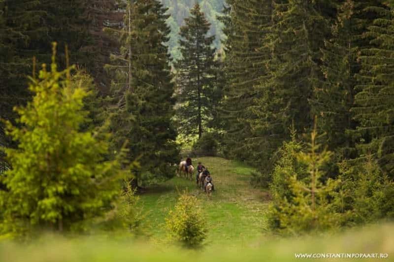 Billet Roumanie : 2 ou 3 jours d'équitation dans les montagnes