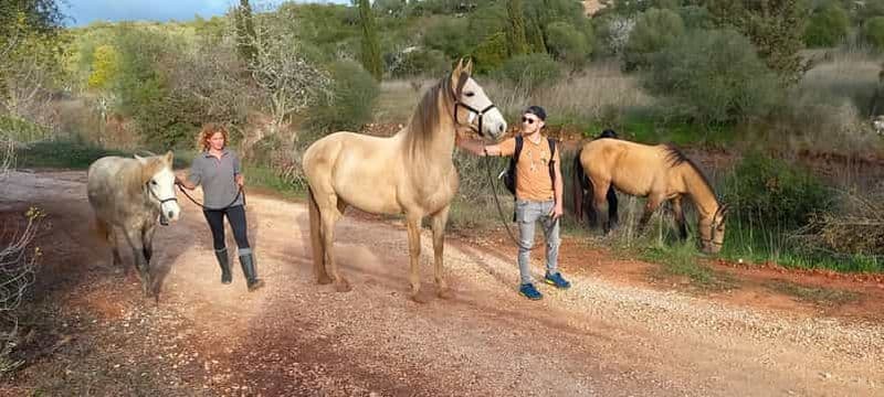 Billet Lagos : Promenade avec un cheval sauvé au sanctuaire