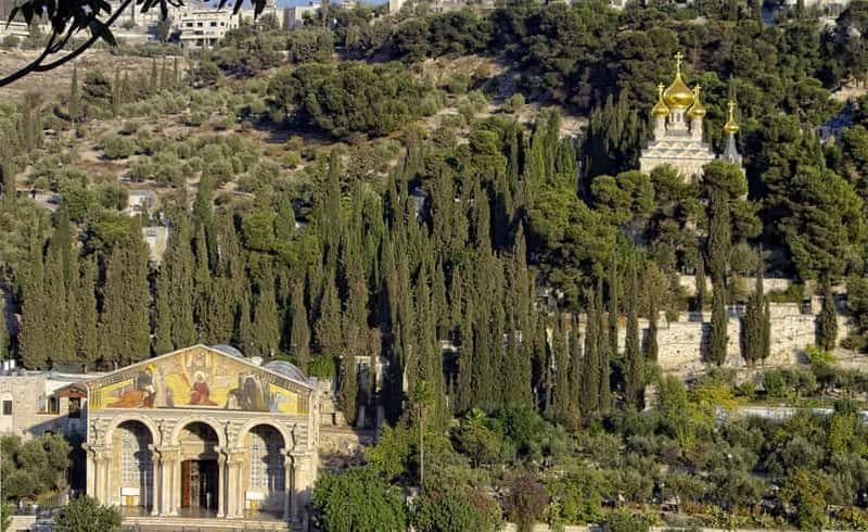 Billet Depuis Tel-Aviv : excursion d'une journée aux origines du Christ à Jérusalem