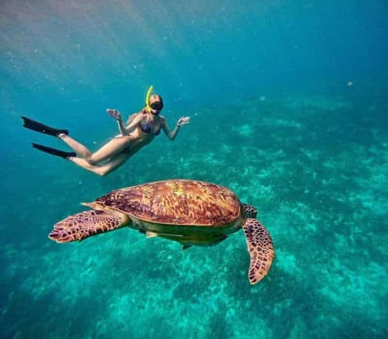 Billet Gili Air : plongée avec tuba dans les 3 îles Gili avec caméra GoPro
