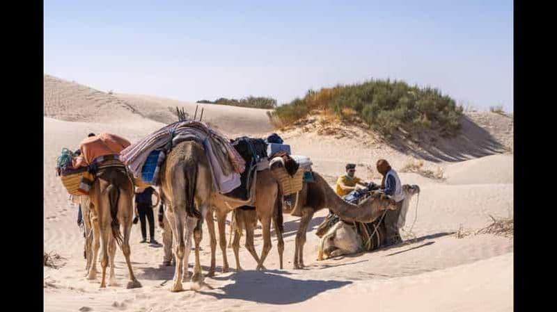 Billet Circuit unique de 3 jours à Djerba et dans le Sahara : Ksar Ghilane et les pirates