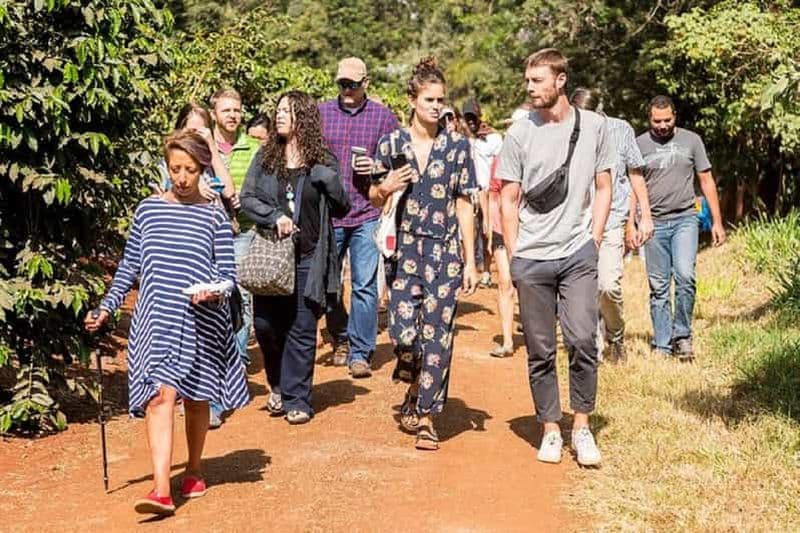 Billet Nairobi : Visite de la plantation de café Fairview avec dégustation de café