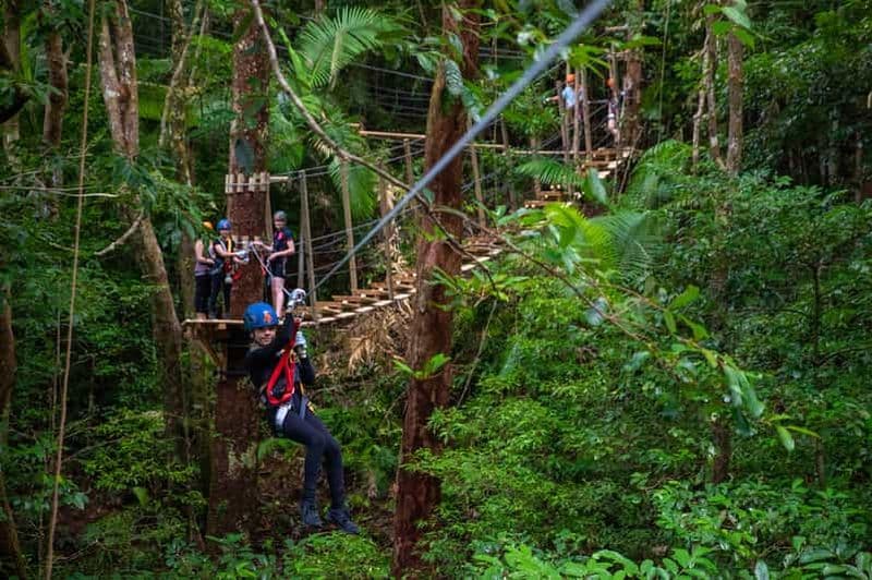 Billet Port Douglas : Visite du parc national de Daintree, croisière et zipline