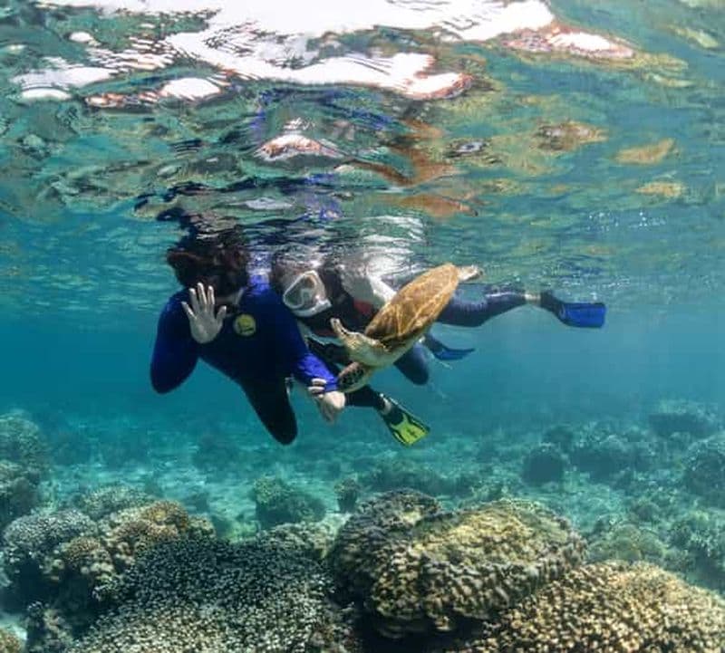 Billet Mascate : excursion de snorkeling aux îles Daymaniyat et déjeuner barbecue
