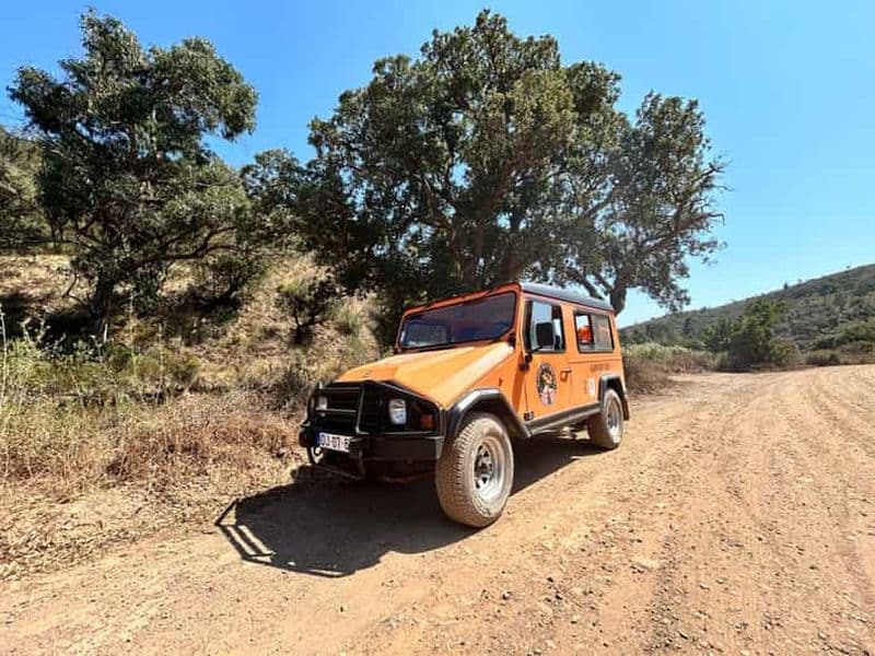 Billet Lagos : Party - UMM Safari-Beer-Tour sur la côte ouest