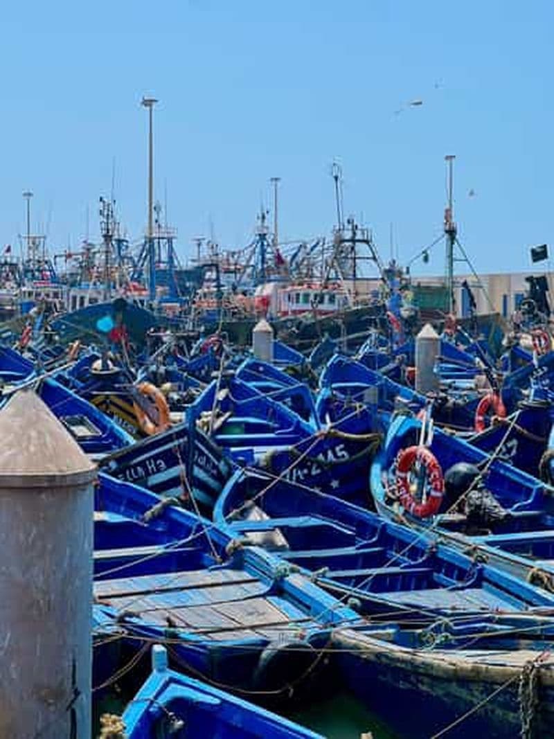 Billet Au départ de Marrakech : Excursion d'une journée à Essaouira avec transferts