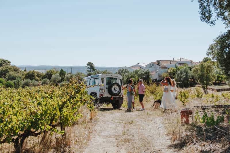 Billet Tomar : visite du vignoble avec dégustations