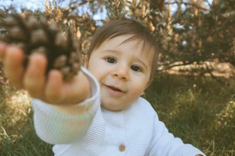 Billet Londres : Séance photo printanière à Greenwich Park