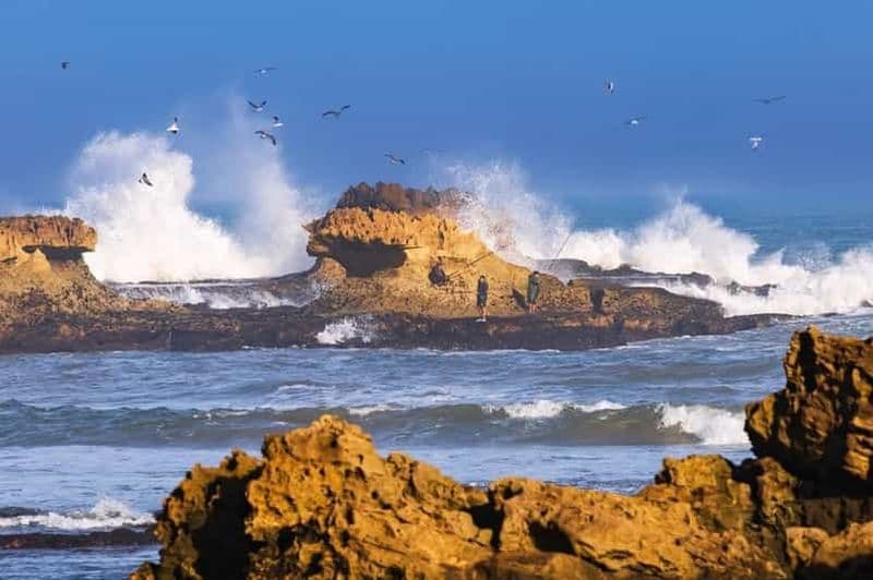 Billet De Marrakech à Essaouira Mogador Excursion d'une journée en petit groupe
