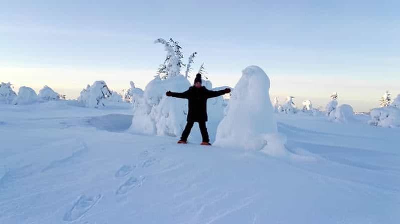 Billet Rovaniemi : excursion d'une journée en raquettes avec déjeuner - Pyhä-Luosto