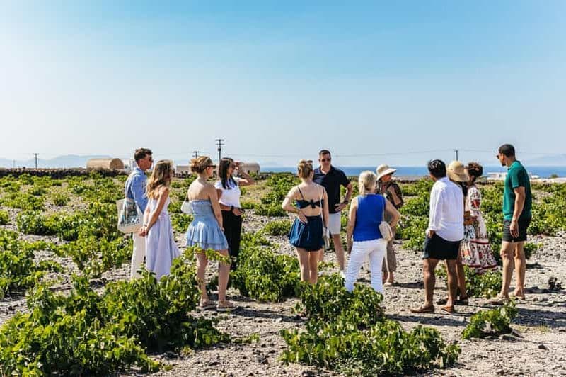 Billet Santorin : visite des vignobles au coucher du soleil en petit groupe avec Santo Winery