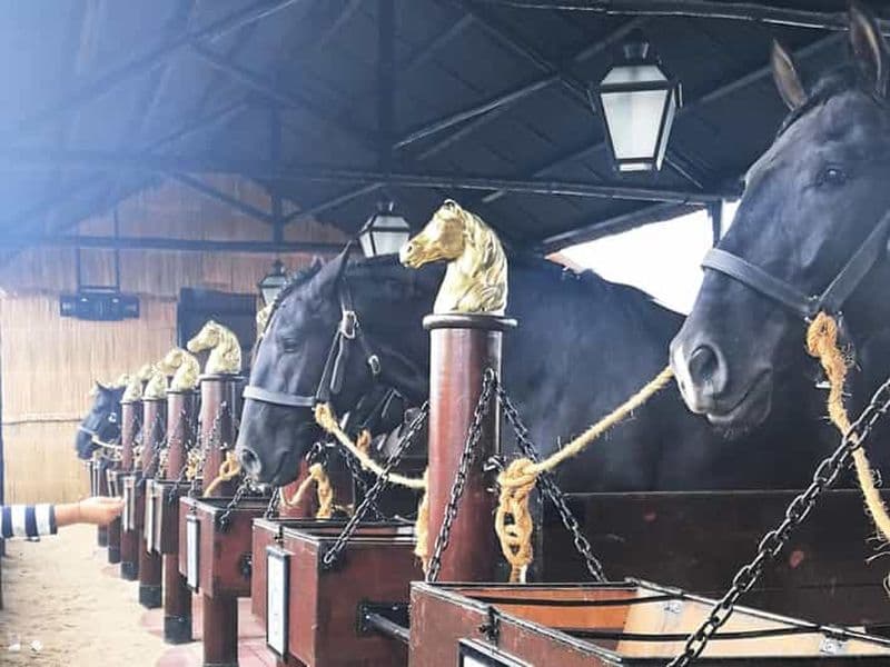 Billet Visite privée d'une journée Le Tage, l'huile d'olive, les caves et les chevaux