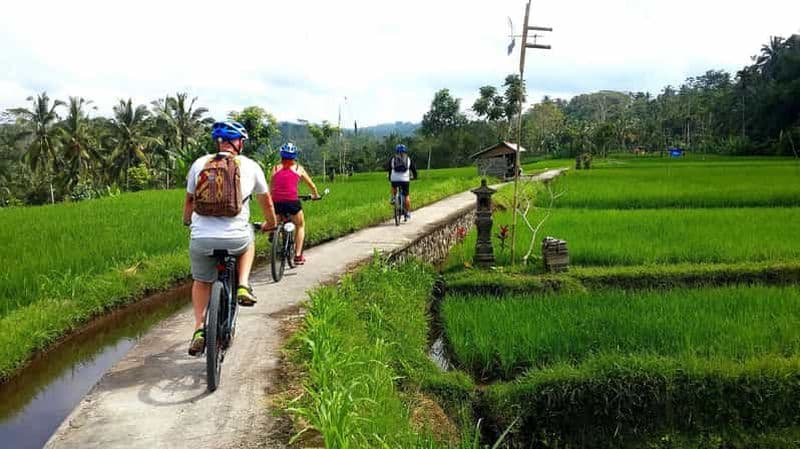 Billet Ubud : visite d'une demi-journée à vélo électrique à Tegallalang