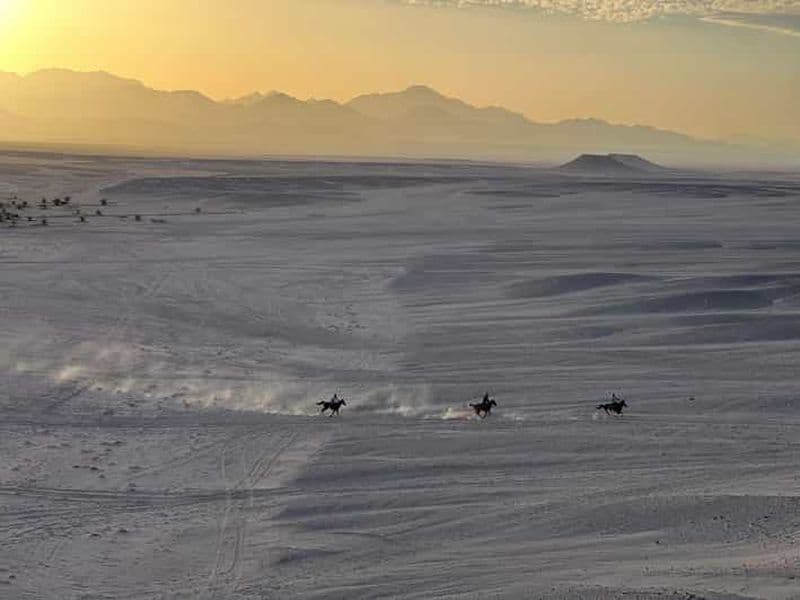 Billet Hurghada : safari au coucher du soleil, balade à cheval et étoiles