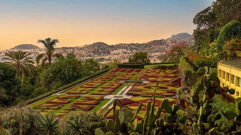 Billet Funchal : visite guidée de la vieille ville en tuk tuk et des jardins botaniques
