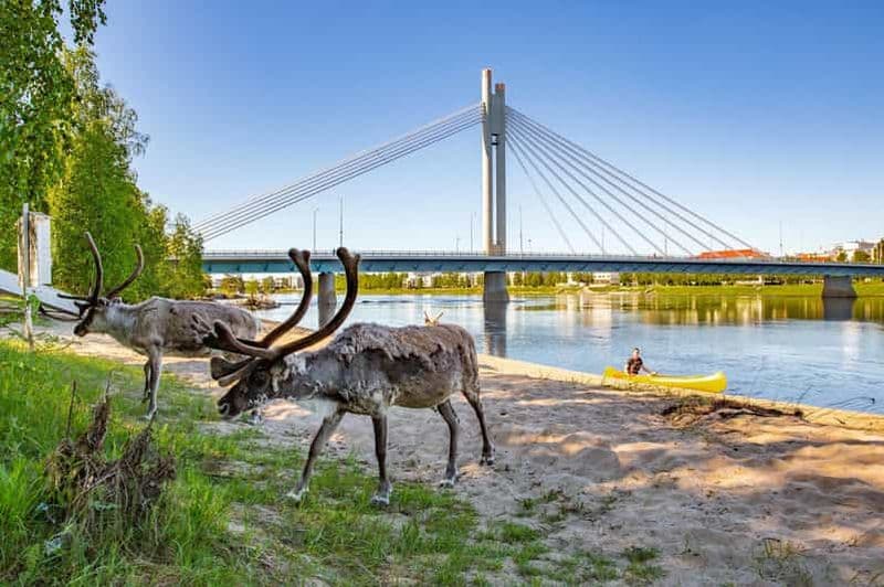 Billet Rovaniemi : excursion culturelle en canoë