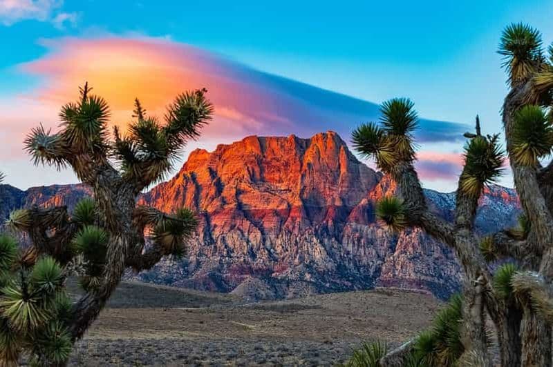 Billet Las Vegas : Aventure privée en voiture dans le Red Rock Canyon