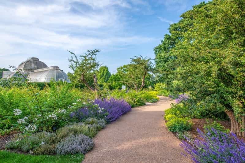 Billet Londres : Billets d'entrée pour les jardins de Kew