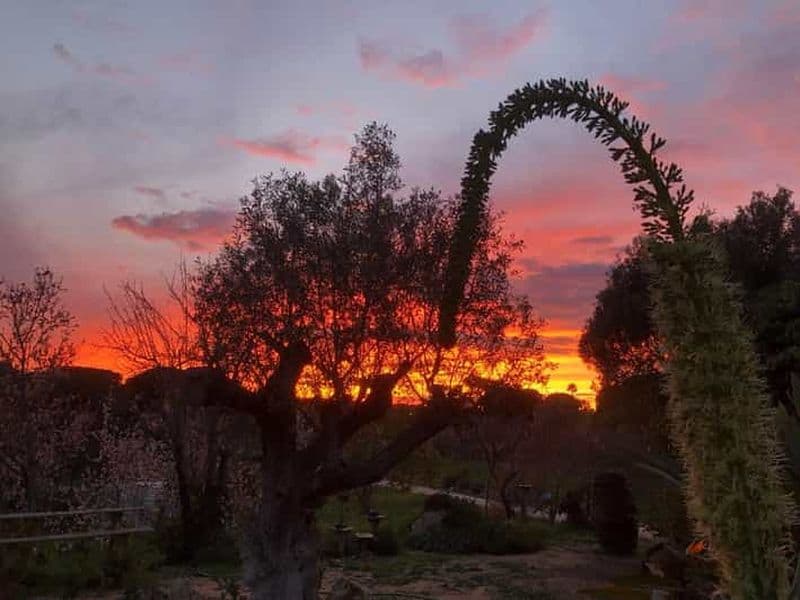 Billet Porches : Dégustation de vin au coucher du soleil avec barbecue
