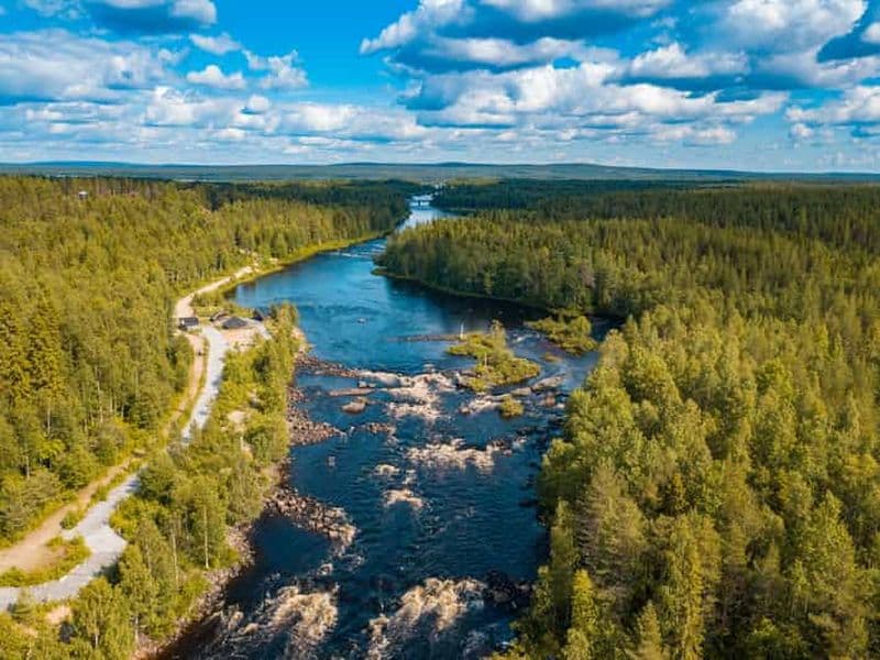 Billet Depuis Rovaniemi : randonnée dans la forêt de Vikaköngäs