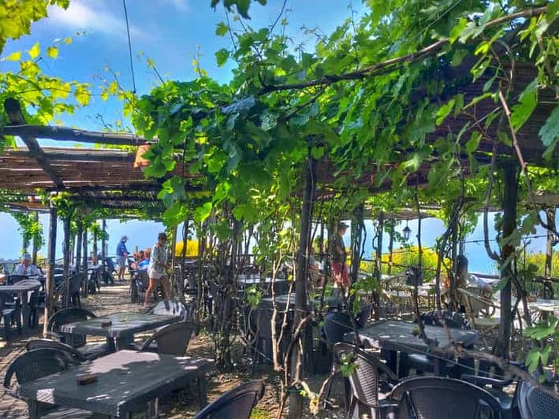 Billet Au départ de Sorrente : Visite du Mont Vésuve avec déjeuner et dégustation de vin