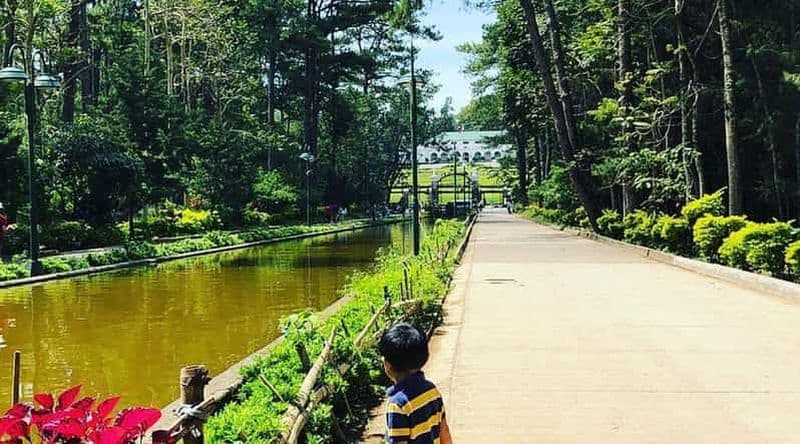 Billet Sous les pins de Baguio : une balade à cheval classique