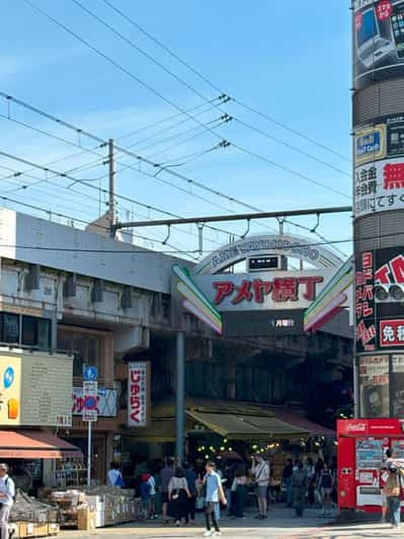 Billet Tokyo : visite à pied du parc d'Ueno et de la rue Ameyoko