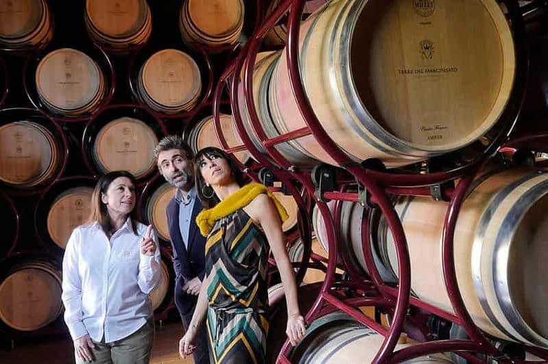 Billet Bolgheri : Visite d'un domaine viticole avec dégustation de vins